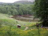 Clicca qui per vedere l'immagine in dettaglio